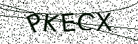 L’image captcha