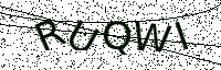 L’image captcha