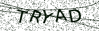 L’image captcha