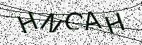 L’image captcha