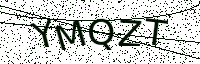 L’image captcha