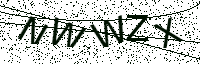 L’image captcha